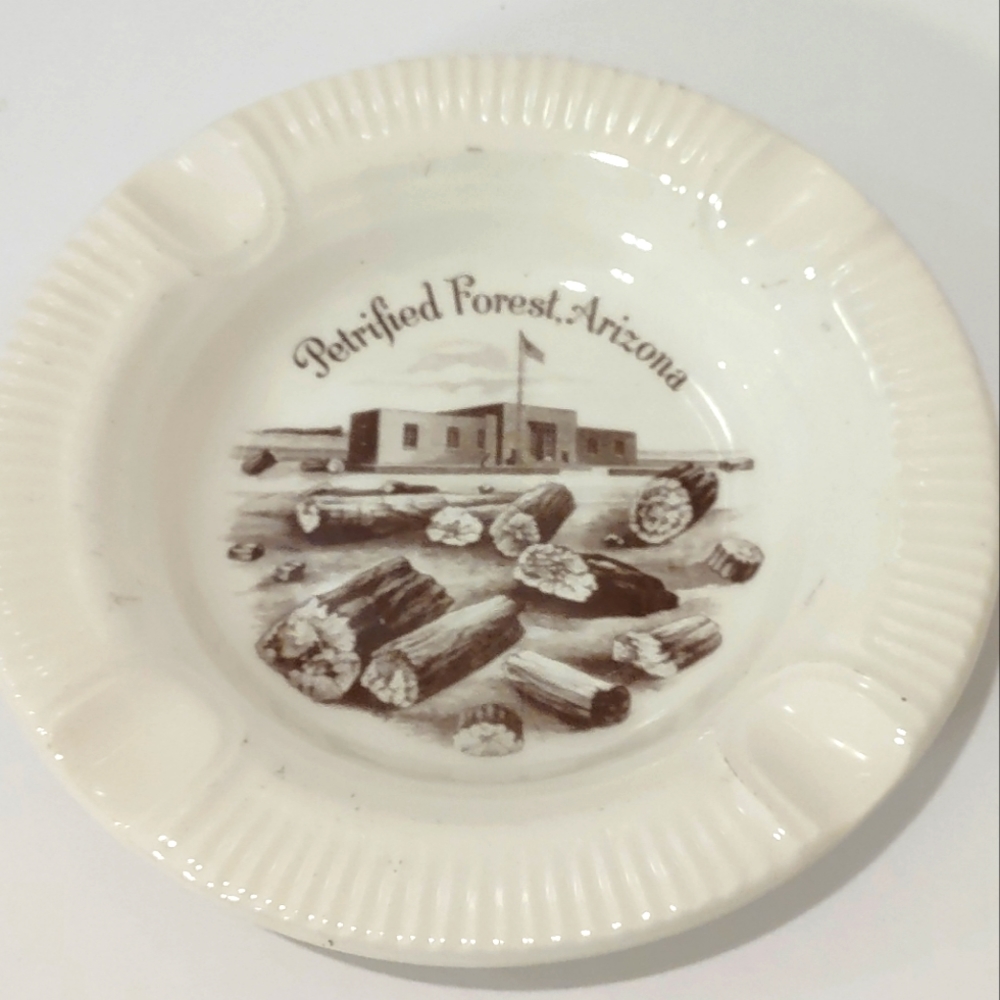 Vintage Petrified Forest Ashtray